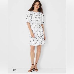 Ann Taylor White and Black Polka Dot Mini Dress Sz M new